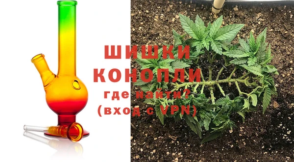 индика Баксан