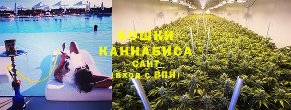 индика Баксан