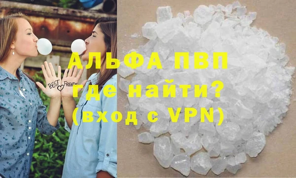 индика Баксан